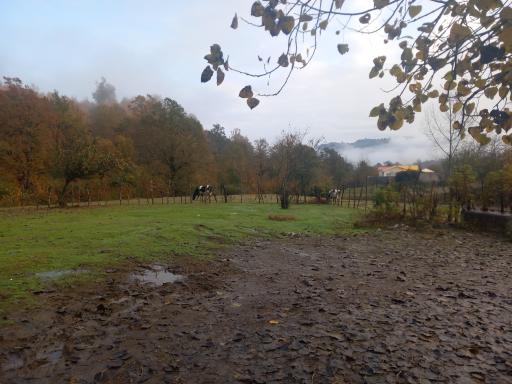 عکس شهرک عباس آباد