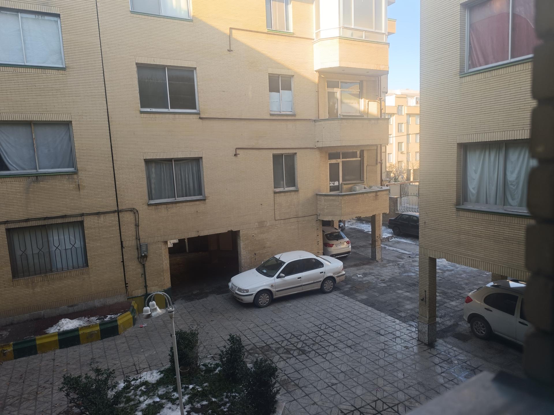 عکس مجتمع بلوط