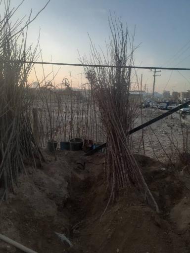 عکس نهالستان و خدمات کشاورزی دکتر امید رحمانی