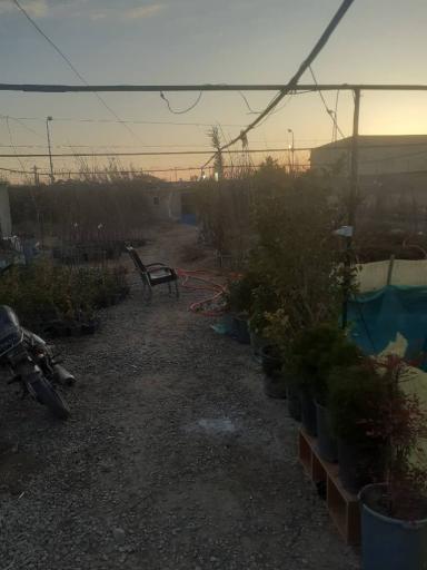 عکس نهالستان و خدمات کشاورزی دکتر امید رحمانی