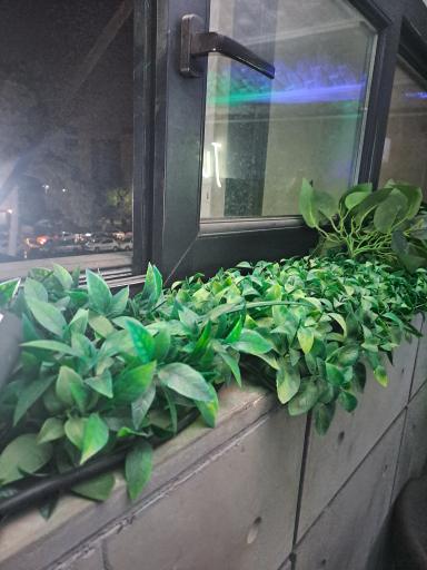 عکس کافه و فست فود اسپریچو