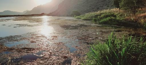 عکس تالاب هشیلان