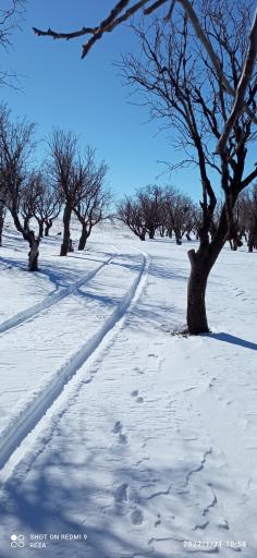 عکس پارک جنگلی ستایش