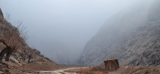 عکس جنگل و رودخانه اندرخ