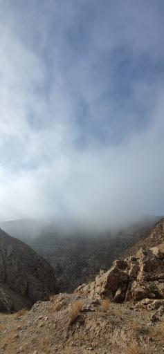 عکس جنگل و رودخانه اندرخ