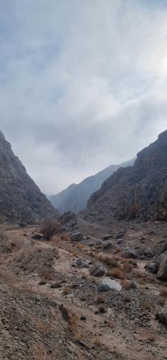 عکس جنگل و رودخانه اندرخ