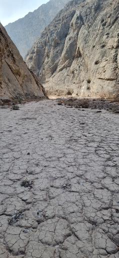 عکس جنگل و رودخانه اندرخ