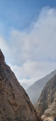 عکس جنگل و رودخانه اندرخ