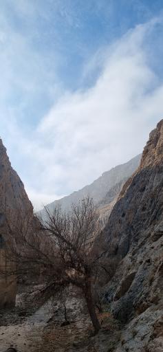 عکس جنگل و رودخانه اندرخ