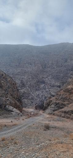 عکس جنگل و رودخانه اندرخ