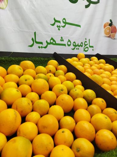 عکس میوه فروشی شهریار