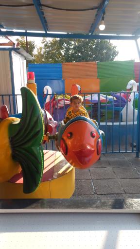 عکس بوستان انقلاب