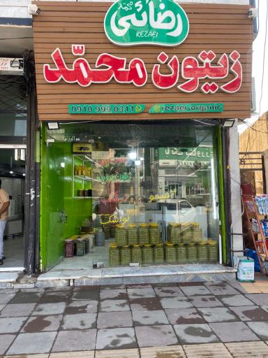 عکس زیتون محمد آببر طارم