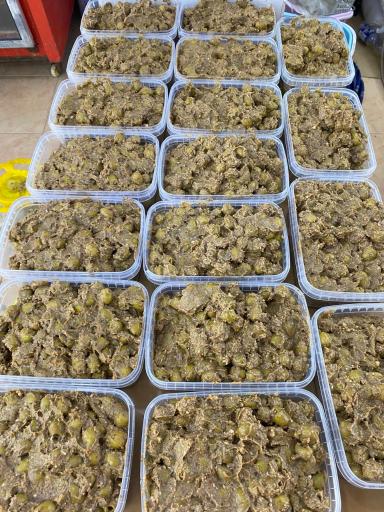 عکس زیتون محمد آببر طارم