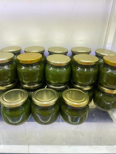 عکس زیتون محمد آببر طارم