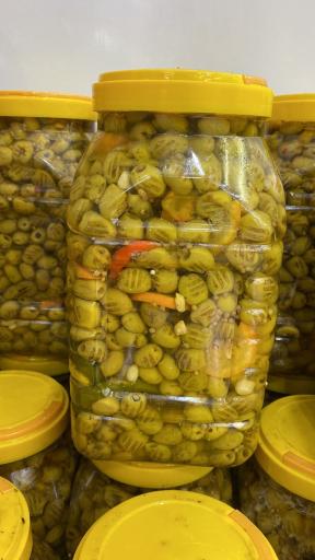 عکس زیتون محمد آببر طارم