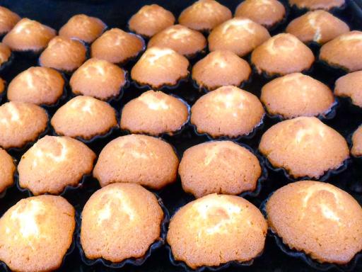 عکس نان فانتزی پاژ