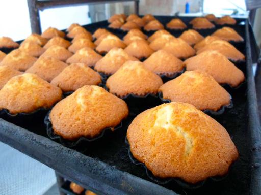 عکس نان فانتزی پاژ