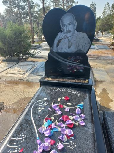 عکس مزار محمدرضا محمدی