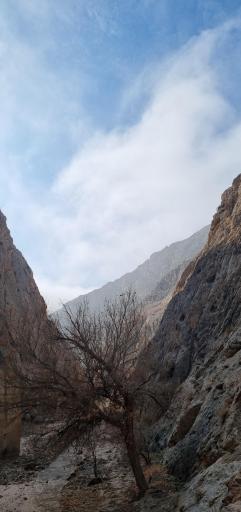 عکس جنگل و رودخانه اندرخ
