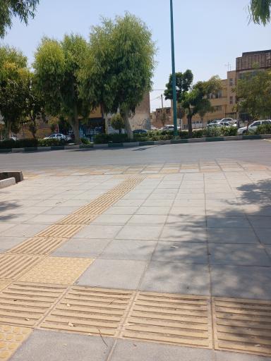 عکس امیرالمومنین