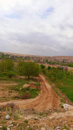 عکس جنگل و رودخانه اندرخ