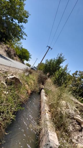 عکس جنگل و رودخانه اندرخ