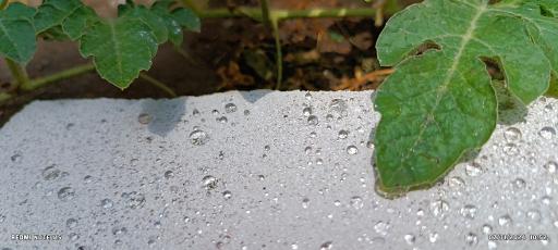 عکس چسب و عایق آرتاسیل