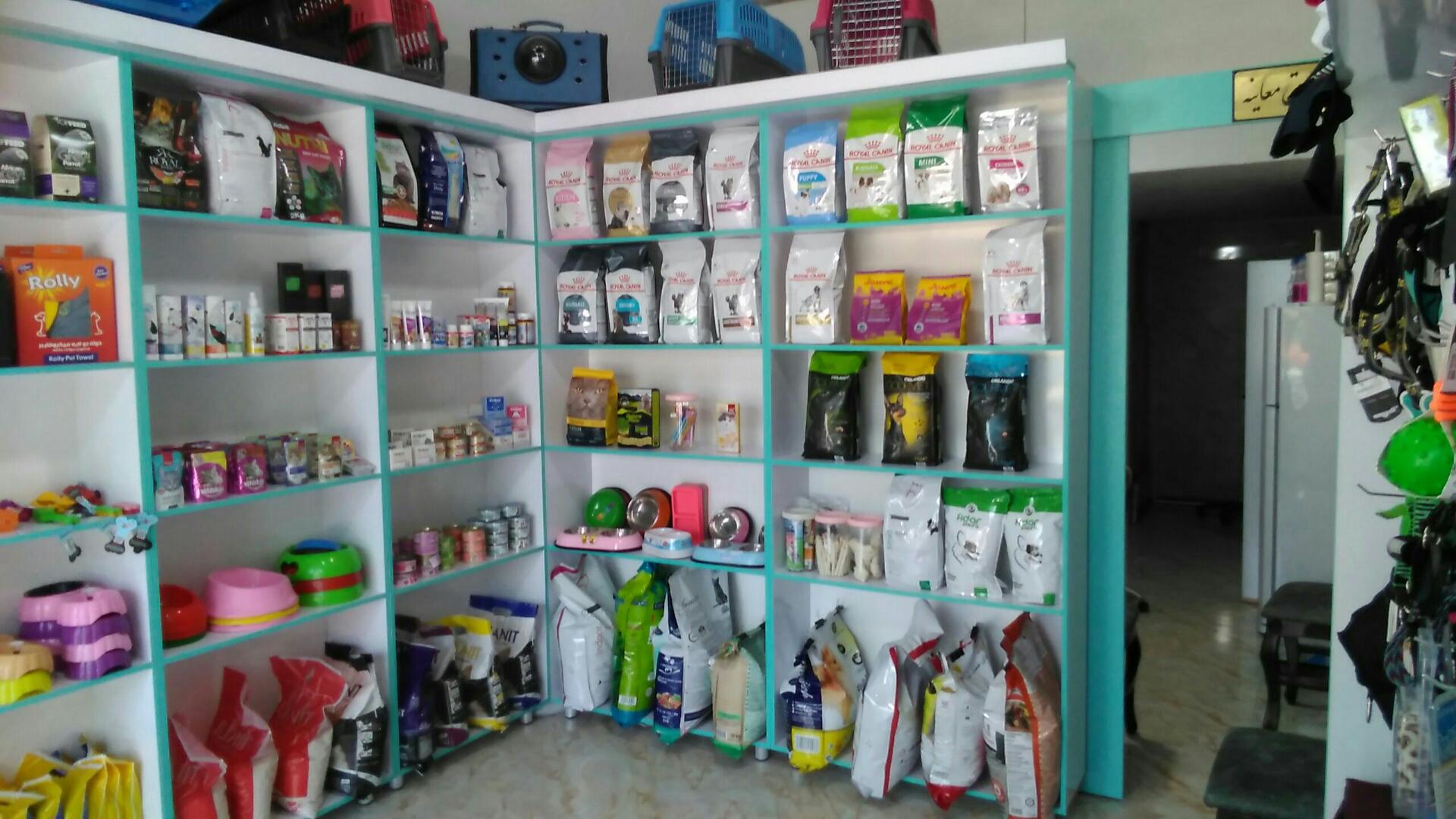 عکس کلینیک دامپزشکی رایکا