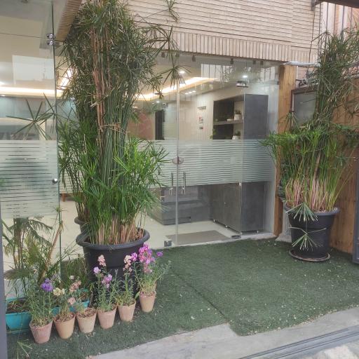 عکس مرکز تندرستی زندگی دوباره( ماساژ و یوگا) REVIVE 