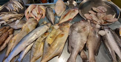 عکس بازار ماهی و میگو هندیجان