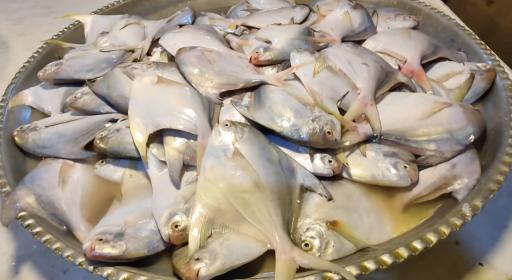 عکس بازار ماهی و میگو هندیجان