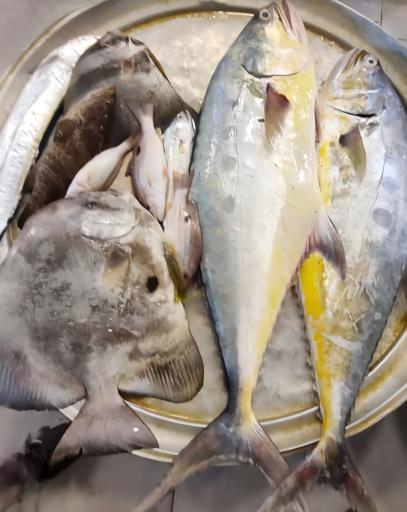 عکس بازار ماهی و میگو هندیجان