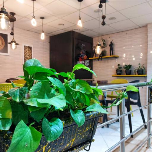 عکس فست فود پادنا 