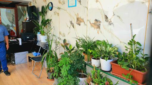 عکس بیمه ایران نمایندگی مهدوی