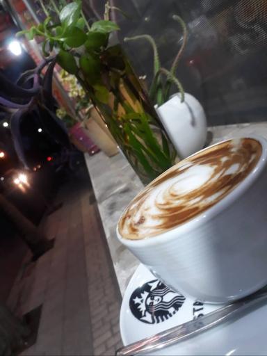 عکس کافی شاپ جغد