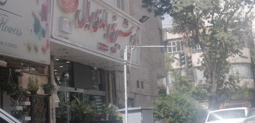 عکس شیرینی بالدی بال (شعبه شماره 2)