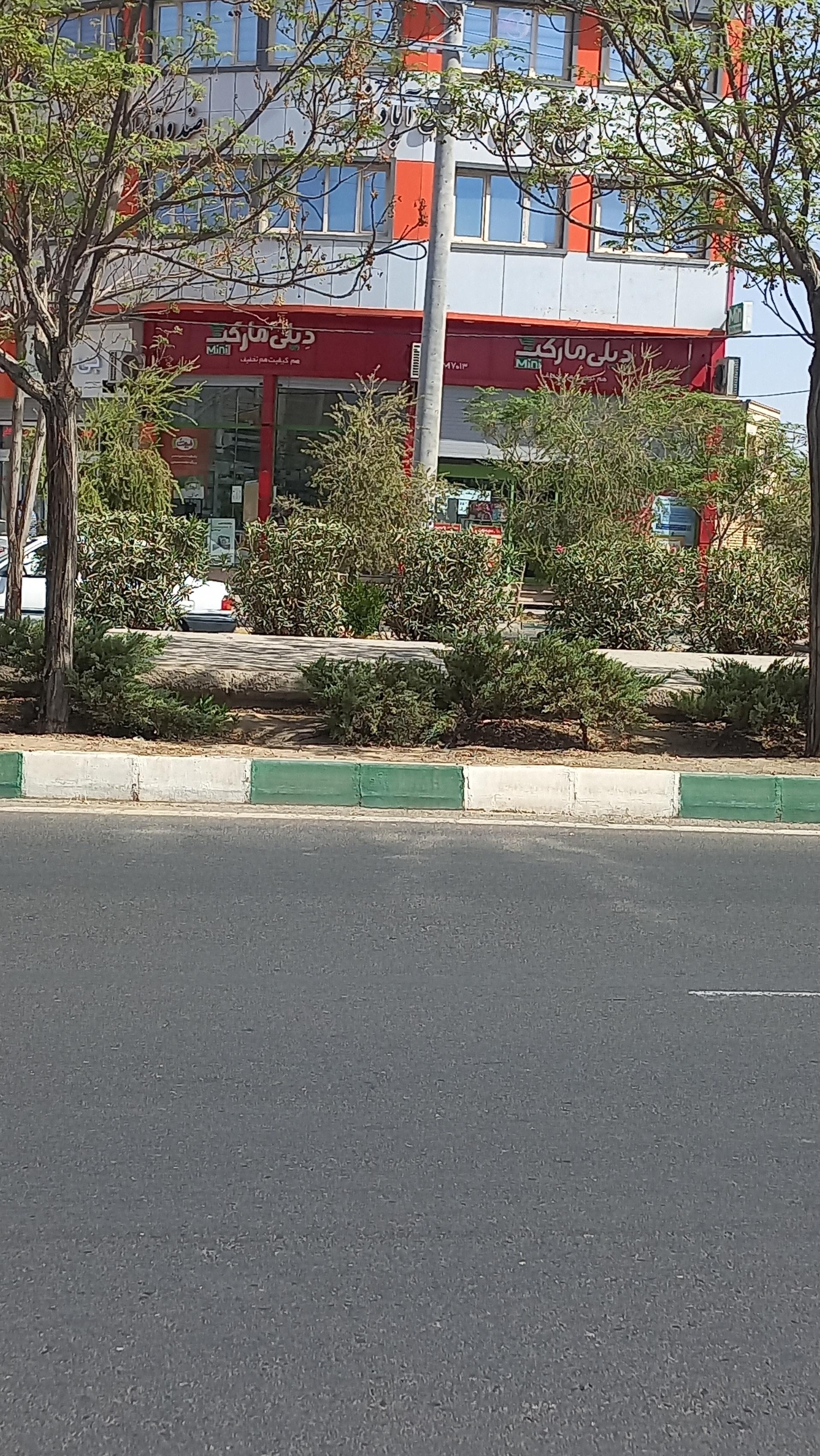 عکس دیلی مارکت  (بلوار دانش)