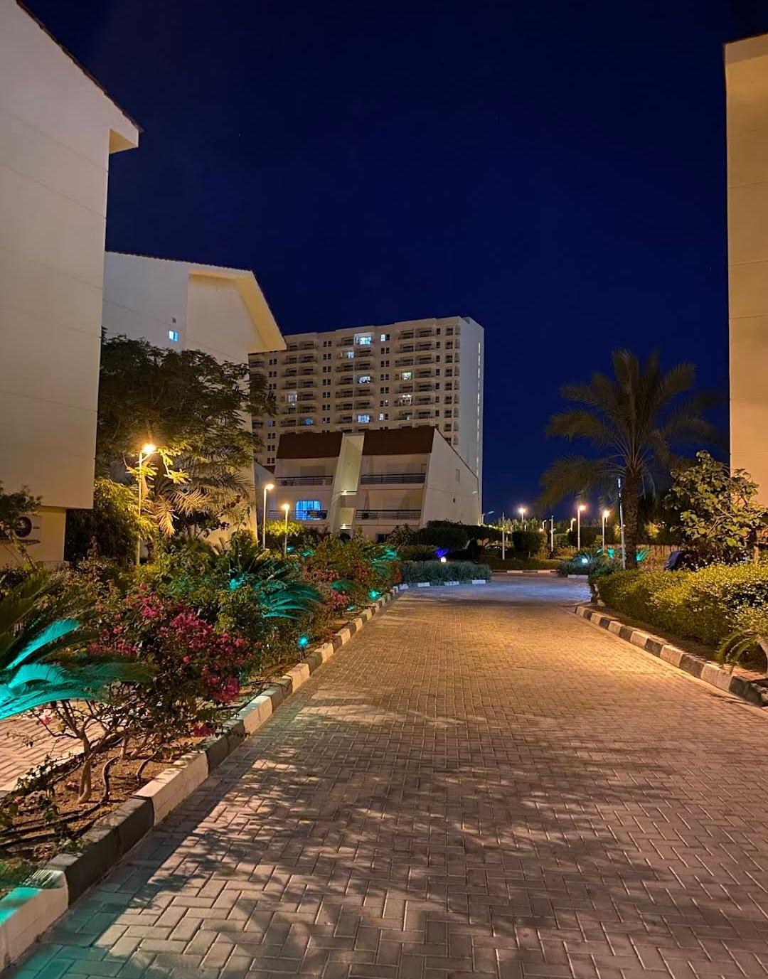 عکس دامون کیش