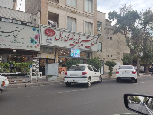 شیرینی بالدی بال