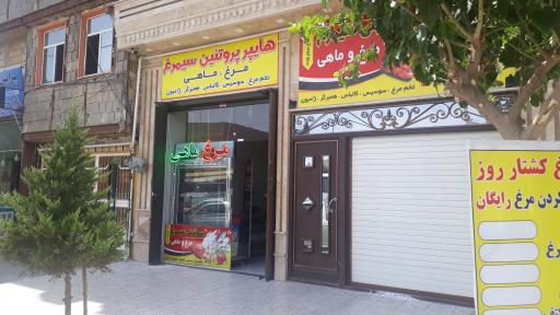 هایپر پروتئین سیمرغ