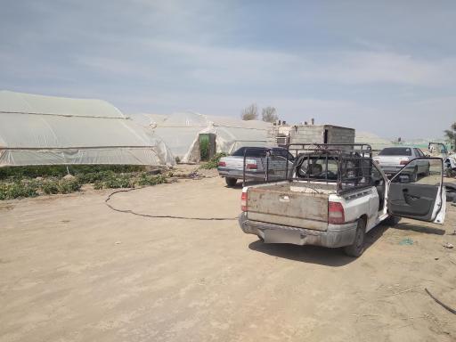 گلخانه پایسته