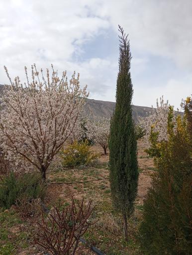 عکس دالان بهشت گهرو