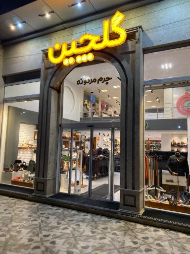 عکس کیف و کفش گلچین