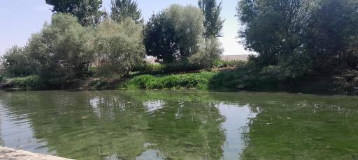 عکس پارک ساحلی شهیدان گمنام