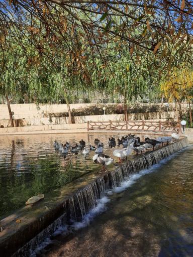 عکس دالان بهشت گهرو