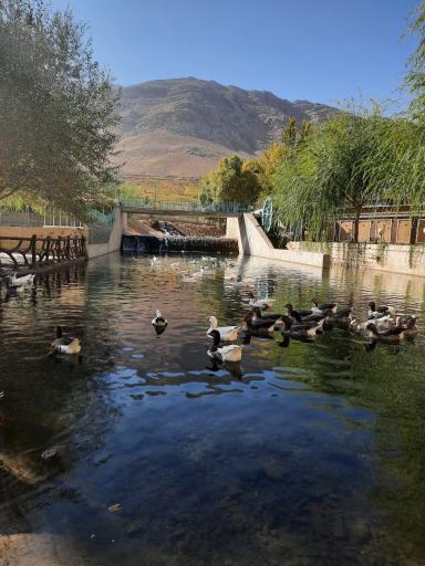 عکس دالان بهشت گهرو