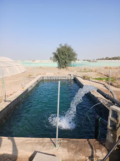 عکس گلخانه پایسته