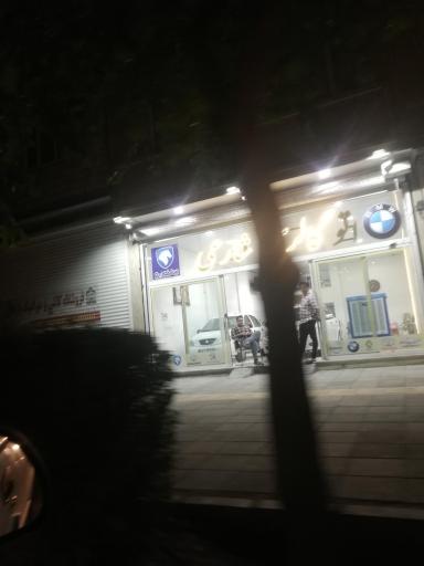 عکس گالری ماشین شارعی