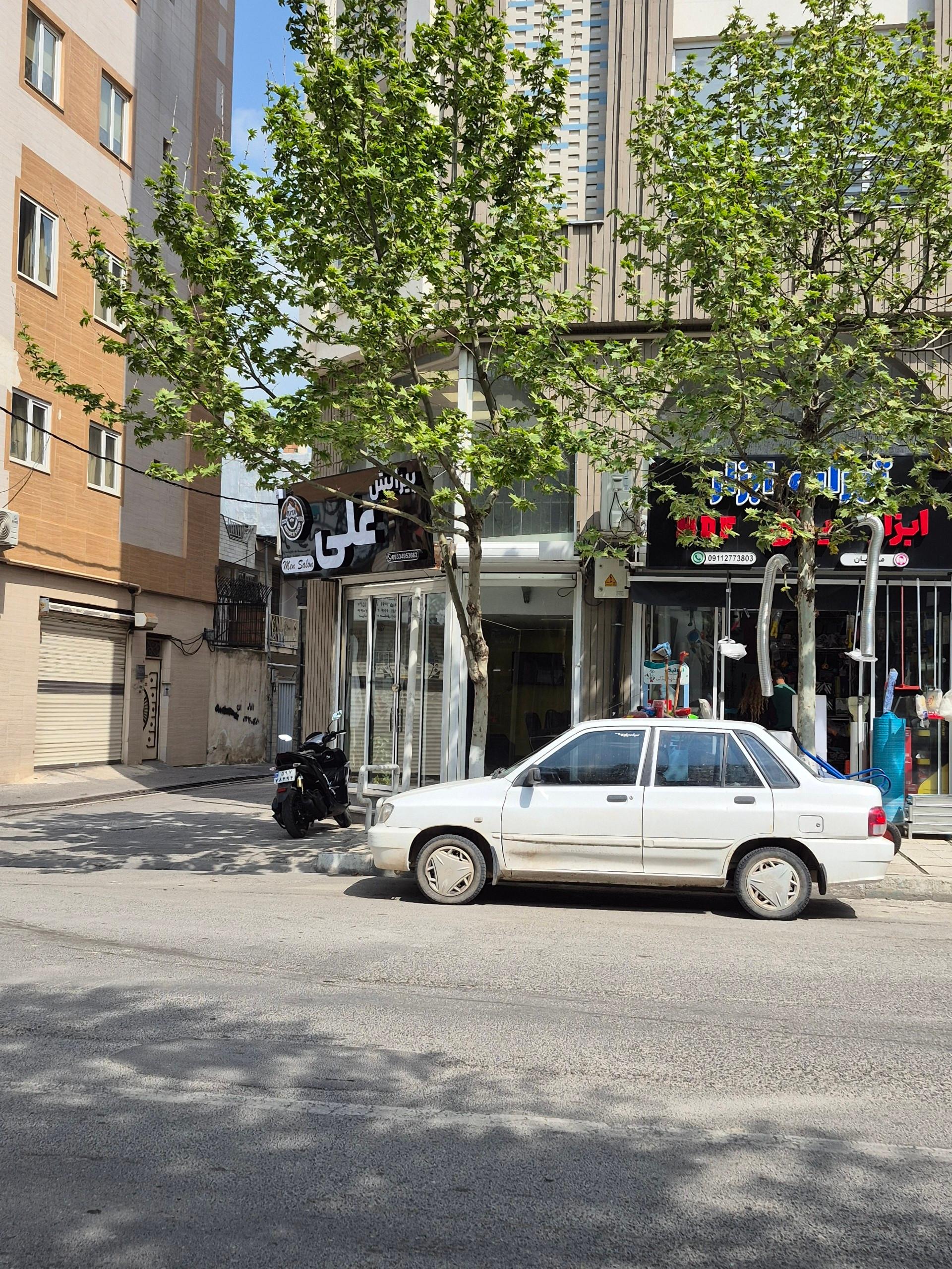 عکس پیرایش علی